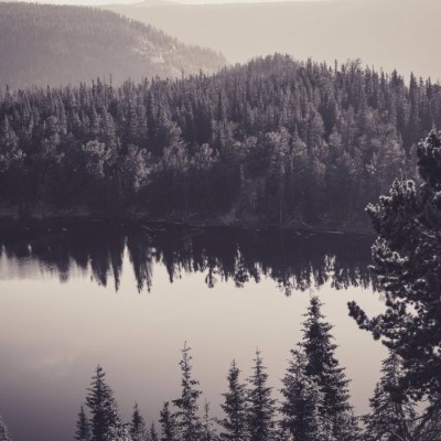 Nature11